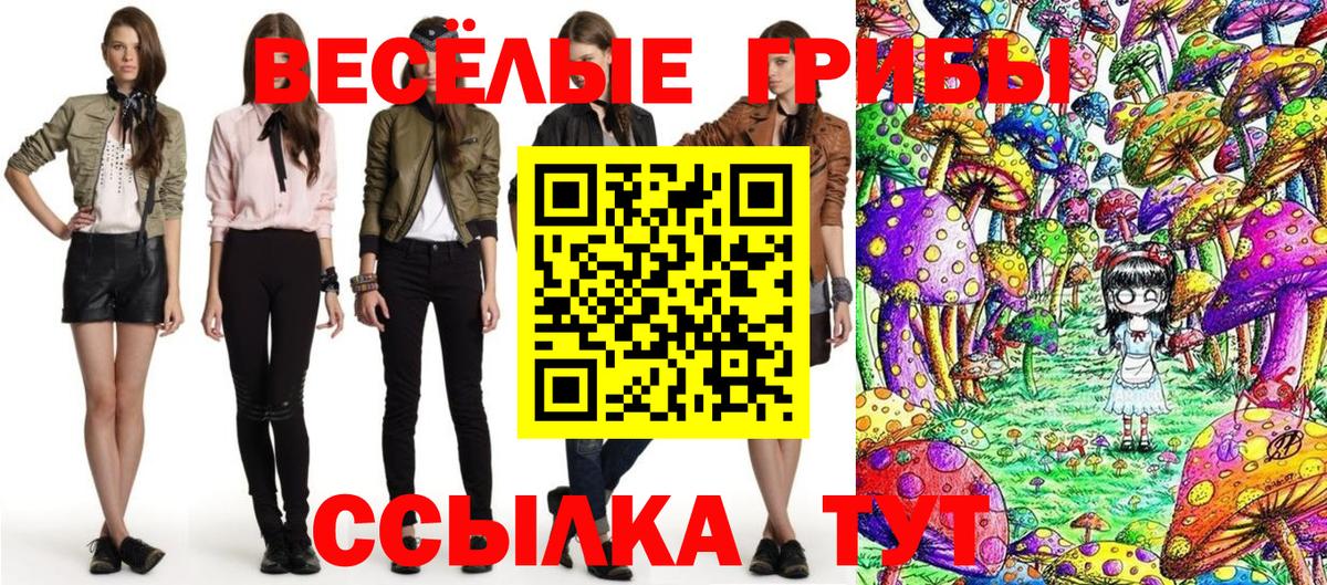 Псилоцибиновые грибы прущие грибы  Вход с VPN  Калач-на-Дону 